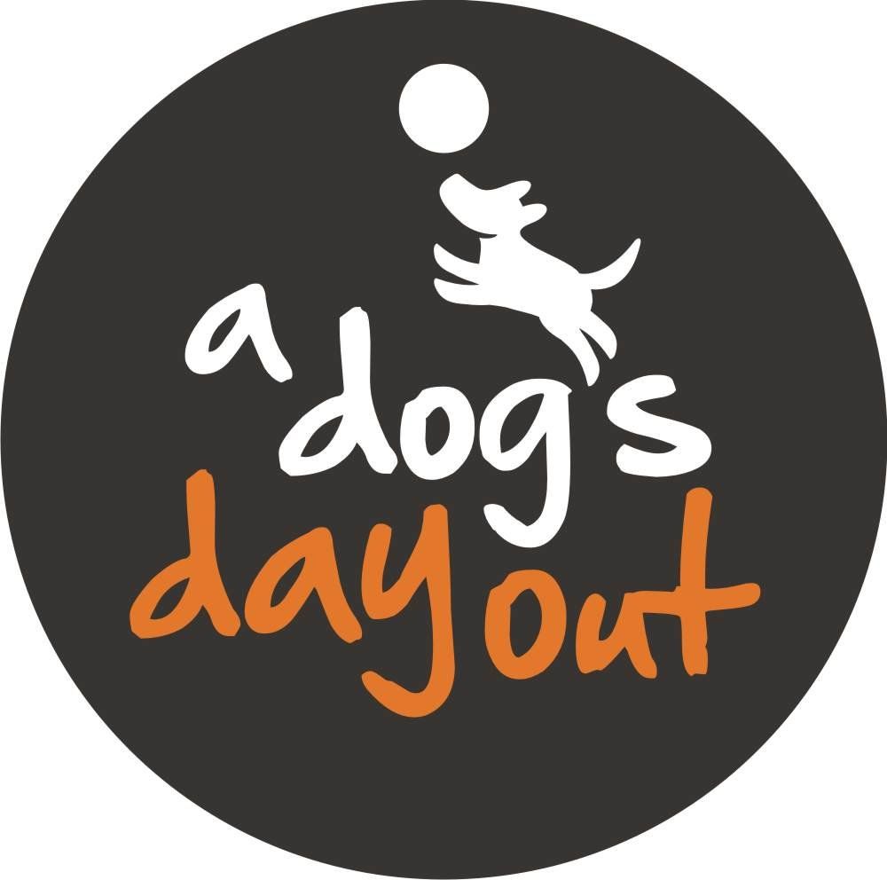 A dog hot sale days out